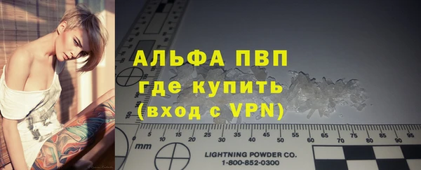 гидра Пересвет