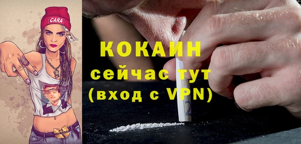 гидра Пересвет