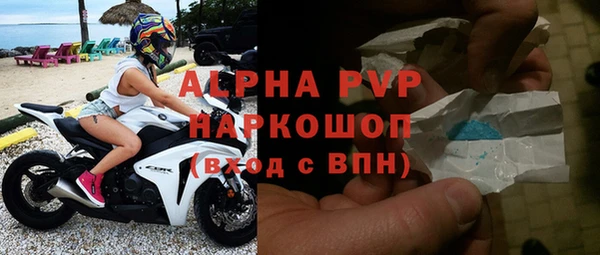 гидра Пересвет