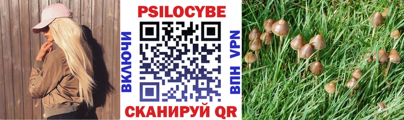 Псилоцибиновые грибы мухоморы  Кола 